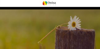 Onisa Store